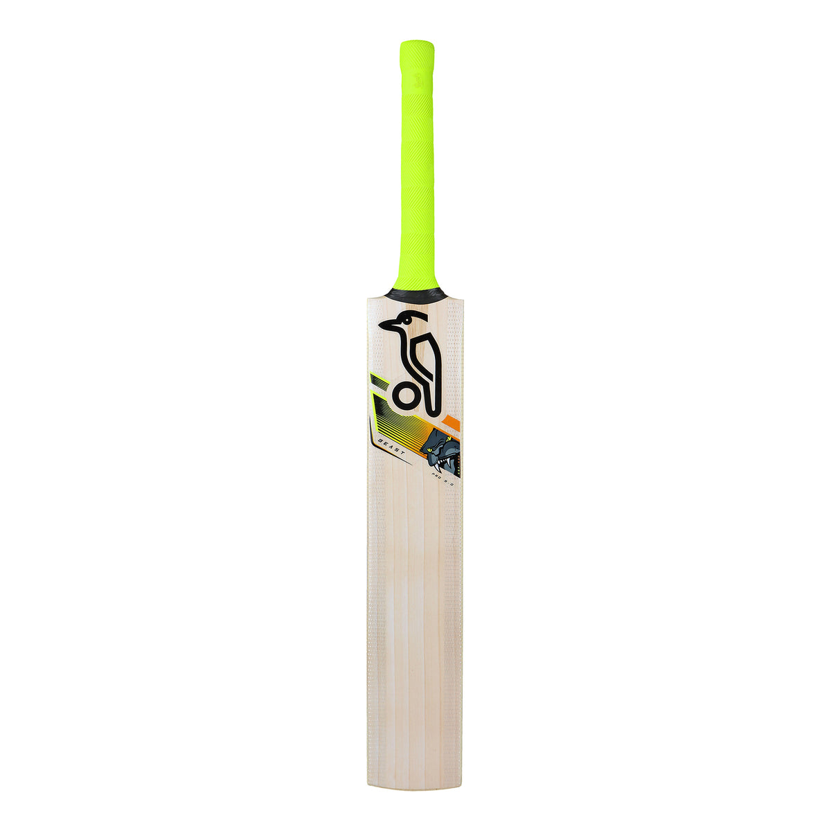 SPORTAXIS Kashmir Willow Cricket Bat - Full Size With Padded Bag & Ball