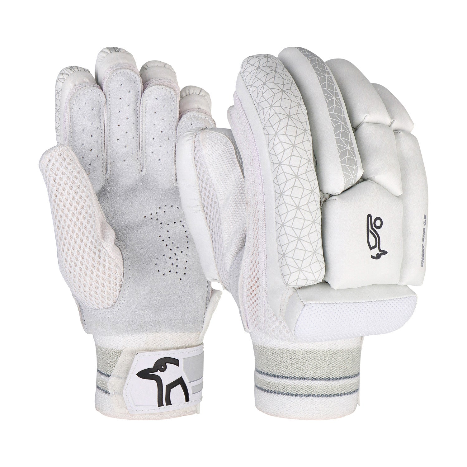 Newest Products – Kookaburra Sport South Africa