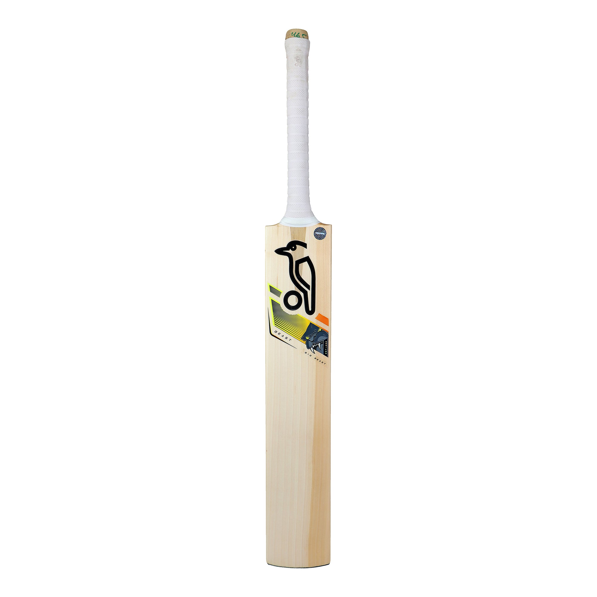 Cricket Accessories – Kookaburra Sport South Africa