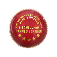 Load image into Gallery viewer, Red Cherry Cricket Ball - 2pc 113gm
